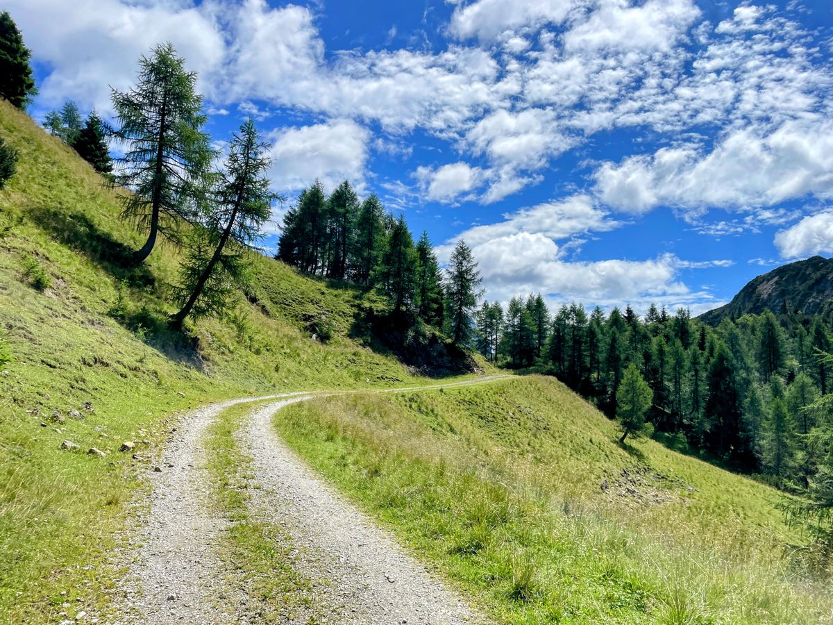 Malga Poccet