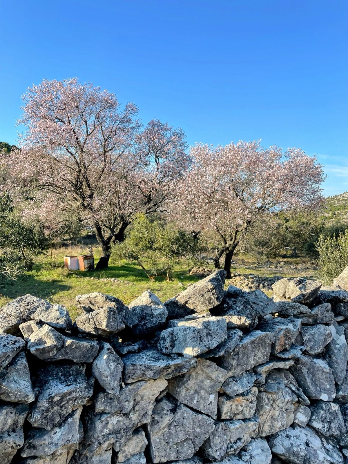 Stari Grad - Pitve - Velo Grablje - Malo Grablje - Hvar