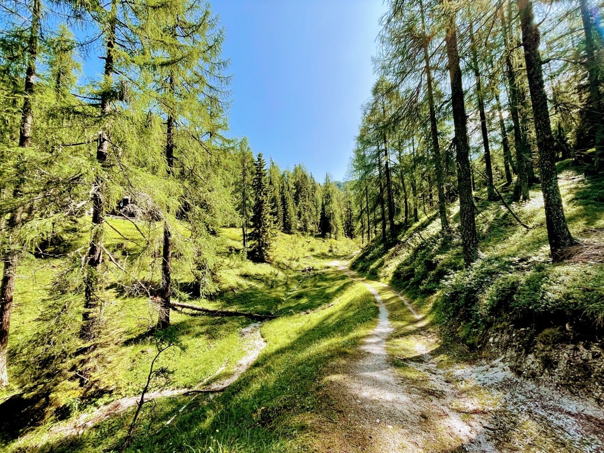 Trupejevo poldne