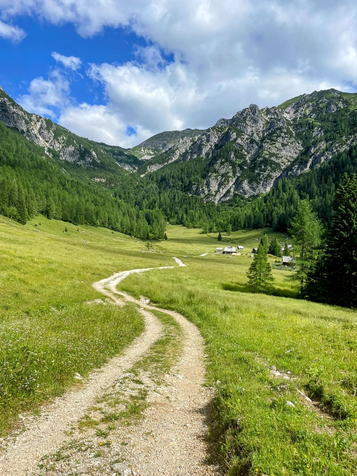 Uskovnica - planina Konjščica - planina Zajamniki