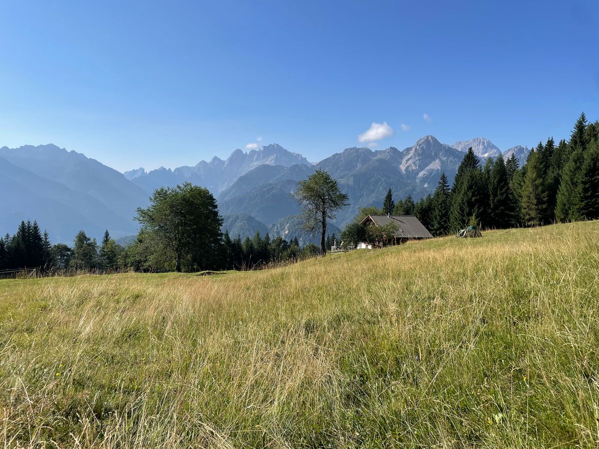 Malga Priu in Monte Stabet