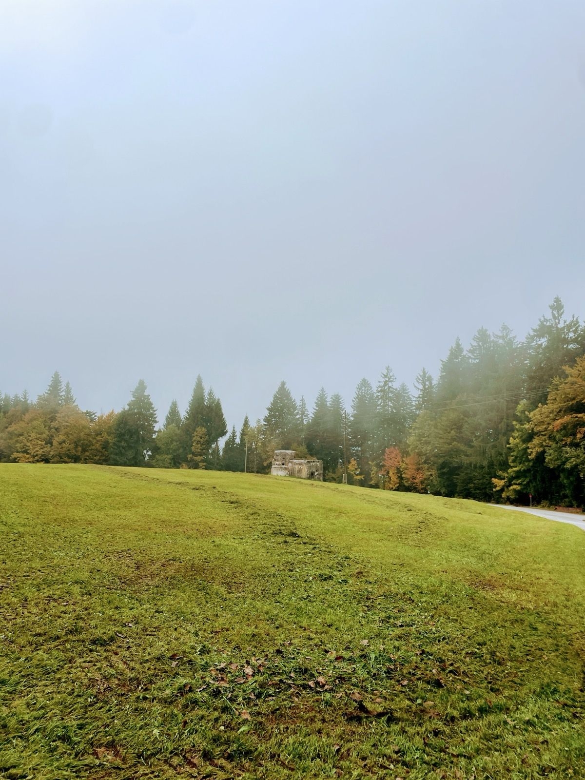 Javorč