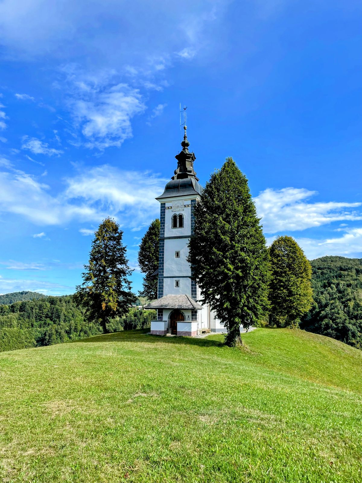 Bukov vrh