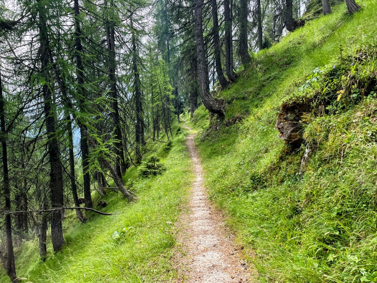 Planina Bistrica pod Ojstrnikom
